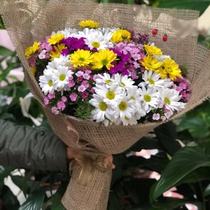  Manavgat Flower - Mixed Wildflowers