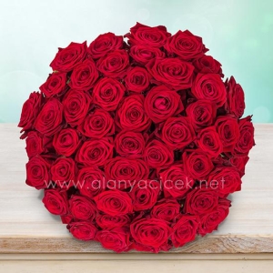  Manavgat Flower Order - 61 Roses Bouquet