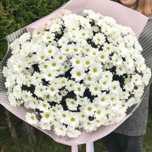  Manavgat Flower Order - 71 Branch Chrysanthemum Bouquet