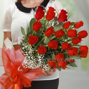 Manavgat Florist - 25 Red Roses Bouquet