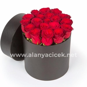  Manavgat Flower - 19 Roses in a Box