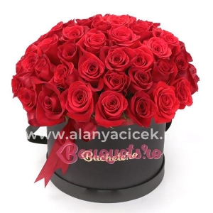  Manavgat Flower - 51 Rose Red in the Box