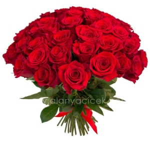 Manavgat Florist - 41 Red Roses Bouquet
