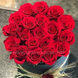  Manavgat Flower Delivery - 20 Red Roses in the Box