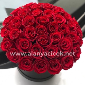  Manavgat Florist - 51 Red Roses in Box