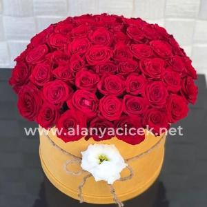  Manavgat Flower Delivery - 51 Red Roses in the Box