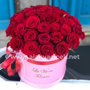  Manavgat Flower - 35 Roses in a Box