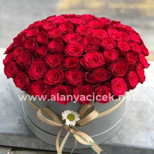  Manavgat Flower - 41 Roses in a Box
