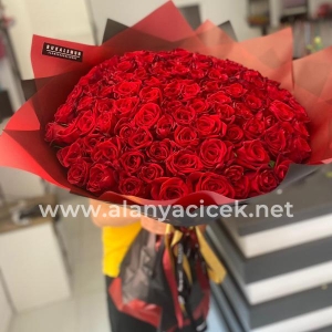  Manavgat Flower Order - 71 Roses Bouquet