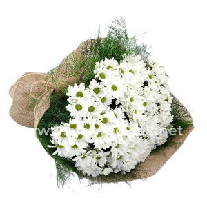  Manavgat Flower Delivery - 17 Branch Chrysanthemum