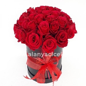  Manavgat Flower Order - 29 Roses in Black Box