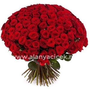  Manavgat Flower Order - 101 Roses Vip Bouquet