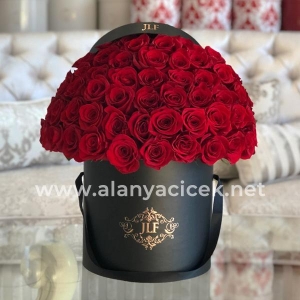  Manavgat Florist - in Box 55 Red Roses