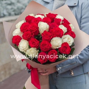  Manavgat Flower - 35 Red and White Roses