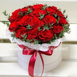Manavgat Florist - 21 Roses in Box