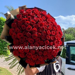  Manavgat Flower - 151 Roses Bouquet