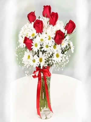 Manavgat Florist - Daisy and 7 Roses in Vase
