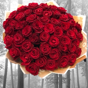  Manavgat Flower Delivery - Bouquet of 55 Red Roses