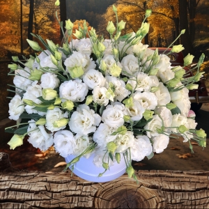  Manavgat Flower Delivery - White Lisianthus in Box