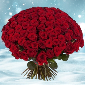 Manavgat Florist - Bouquet of 101 Red Roses