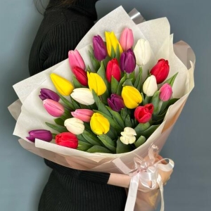  Manavgat Flower - 25 Tulips Bouquet