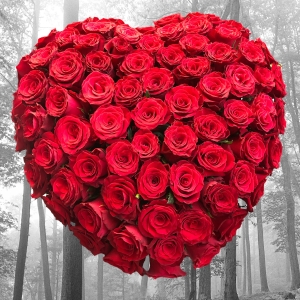  Manavgat Flower Order - 65 Roses Heart Arrangement