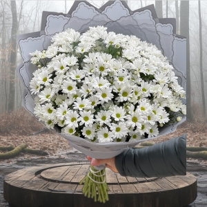  Manavgat Flower Order - Chrysanthemum Bouquet