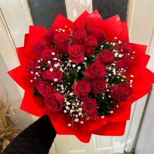  Manavgat Flower Order - Red Roses 17 Pcs