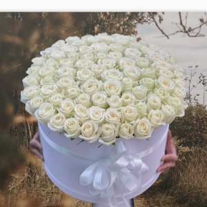  Manavgat Flower Order - 75 White Roses in Box