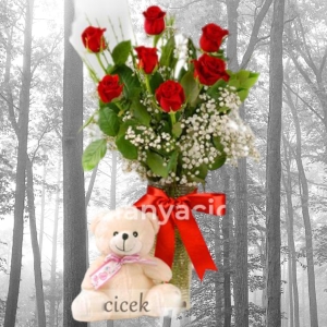 Manavgat Florist - 7 Roses in Vase and Teddy