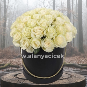  Manavgat Flower Order - 35 White Roses in Box