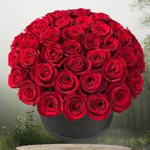  Manavgat Florist - 45 Red Roses in Box