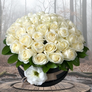  Manavgat Flower Order - 41 White Roses in Box