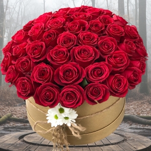  Manavgat Florist - 47 Red Roses in Box