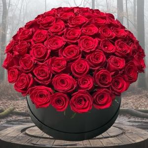  Manavgat Florist - 59 Red Roses in Box