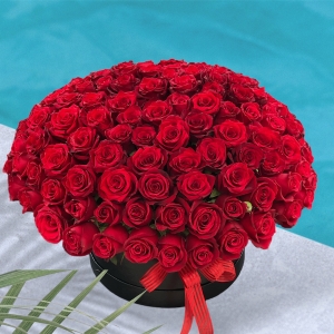 Manavgat Florist - 121 Red Roses in Box