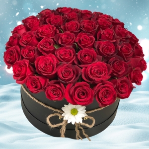  Manavgat Florist - 41 Red Roses in Box